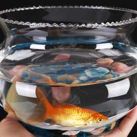 创意水培花器绿萝 花边生态透明 圆形玻璃 金鱼缸 乌龟缸  斗鱼缸