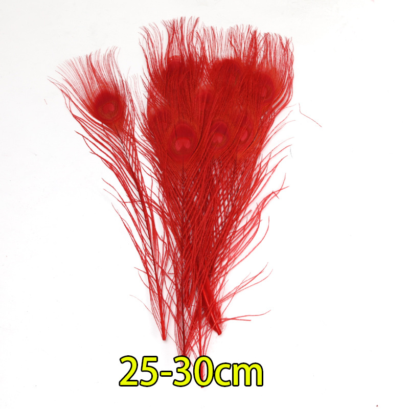 Plumas rojas al por mayor boda jardín de infantes diy plumas hechas a mano pieles de pavo pendientes de plumas de ganso accesorios accesorios de ropa image 19