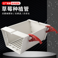 T�����p�ŷNֲ�۴���o��������|��PVC�������w���β�ݮ�Nֲ��