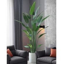 ���s���W����ֲ����������B�辰�҃��b����ԾGֲ�[�����˽���