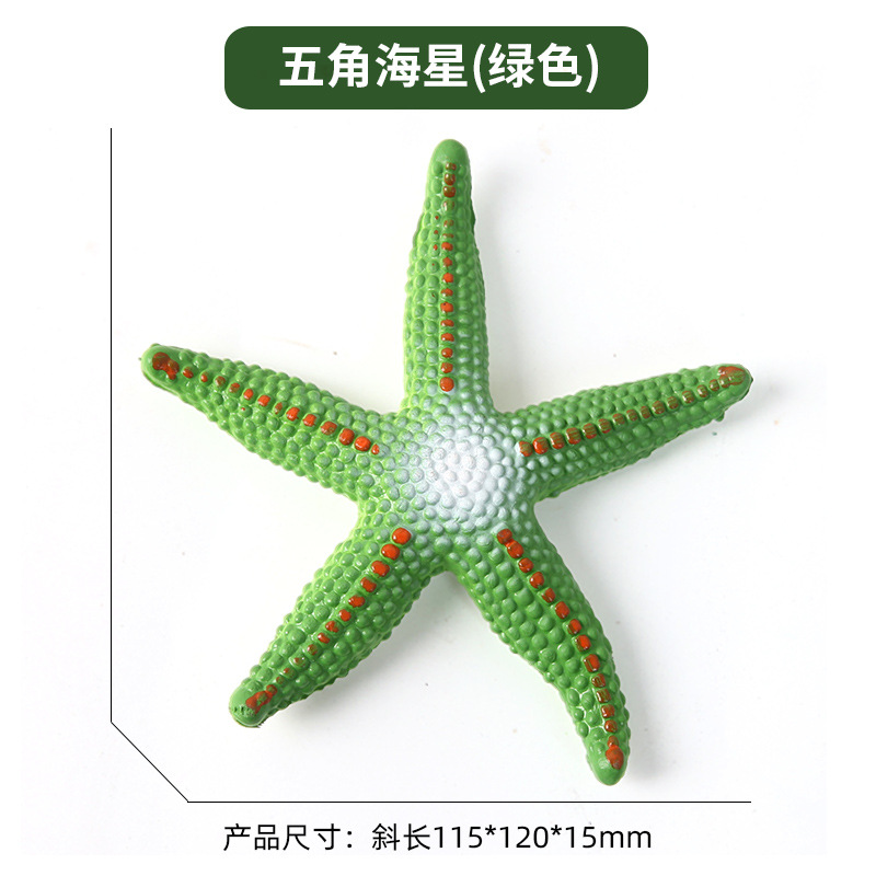 Étoile de mer pentagramme [Vert]
