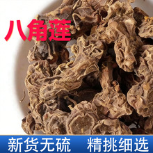 八角莲 八角莲金魁莲鬼臼正品一把江边一碗水袋装现货批发代发