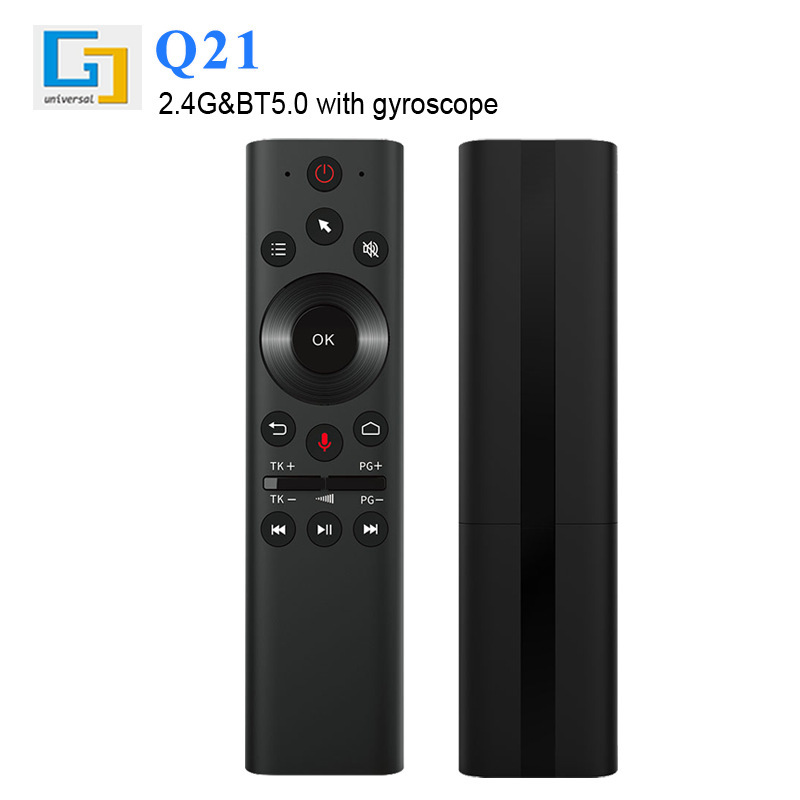 Cross-Border Q21 Remote Control with Gyroscope Voice Function 2.4G&Bt 19-Key Infrared Learning Flying Squirrel Wholesale