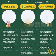 &reg;�t�⾀led���w�Б���������픟��؟����_���Șǵ��Б���픟�