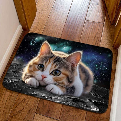 cat decorative floor mat, bathroom absorbent – Avtomobil döşəmə paspasları - little-kitten-16-4060cm-crystal-velvet
