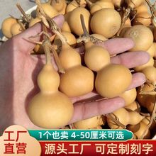 厂家批发文玩手捻小葫芦手把件小美挂件饰品摆件聊城葫芦产地直销