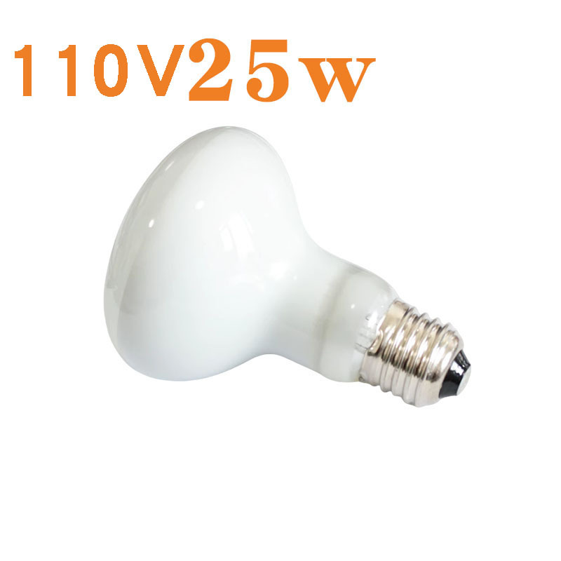 R80 열대우림 일광 램프 110V 25w