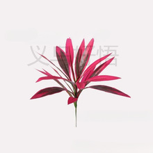 �羳�¿�Artificial Ti Plant�����ֲ��������ľ��Ѫ��