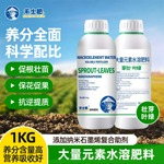 大量元素水溶肥平衡型氮磷钾肥果树蔬菜专用肥料平衡型水溶肥速溶