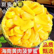 海南黄肉菠萝蜜一整个新鲜水果包邮波萝蜜整箱