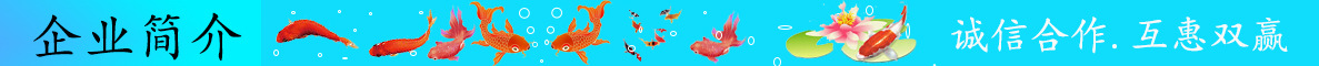 企业简介