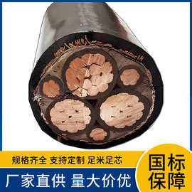 BPYJVP1铜芯PE绝缘阻燃PVC铜带绕包铜丝编织双重屏蔽变频器用电缆