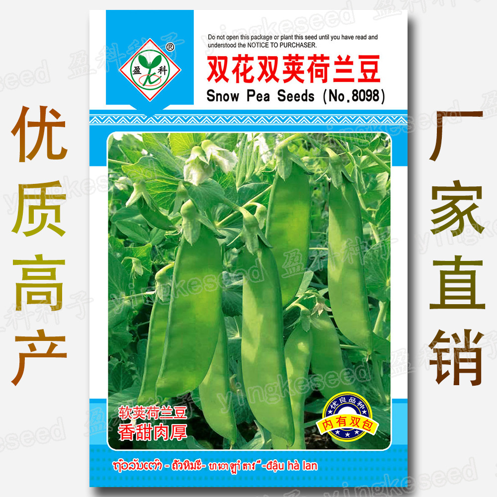 双花双荚荷兰豆籽约40粒软甲豆种籽白花荷仁豆早熟软荚豌豆种子 种苗花卉网