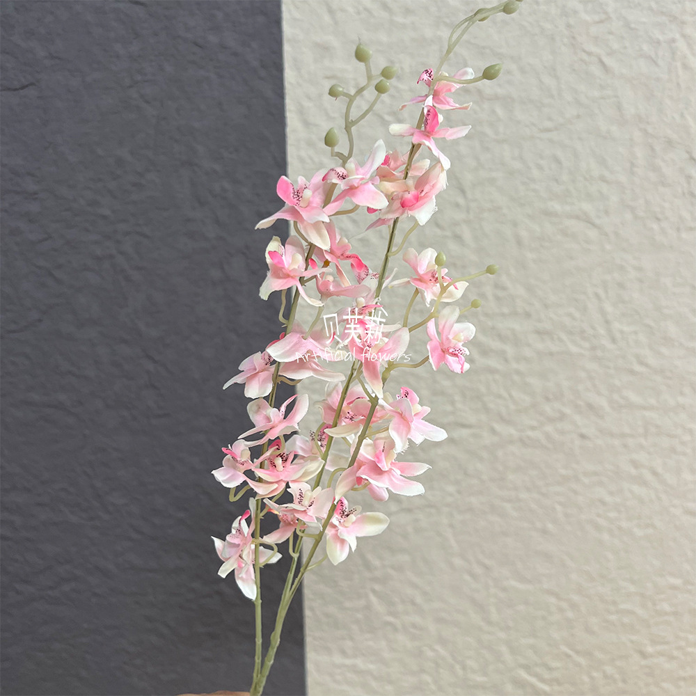 똑똑한 작은 난초