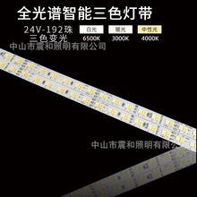 V��ճ��LEDܛ�l����8mm�������Ӿ��l�������NƬ�����z