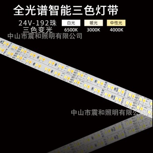 V��ճ��LEDܛ�l����8mm�������Ӿ��l�������NƬ�����z