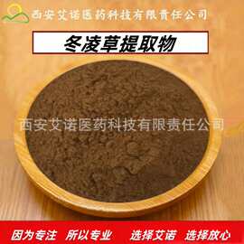 冬凌草提取物 冬凌草浓缩粉 冬凌草甲素30:1冬凌草提取 现货直供