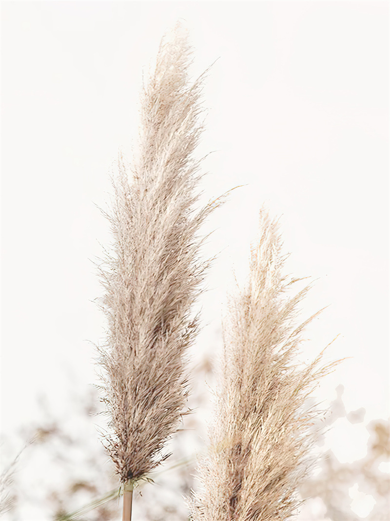 F 페인팅 코어 (프레임 제외)