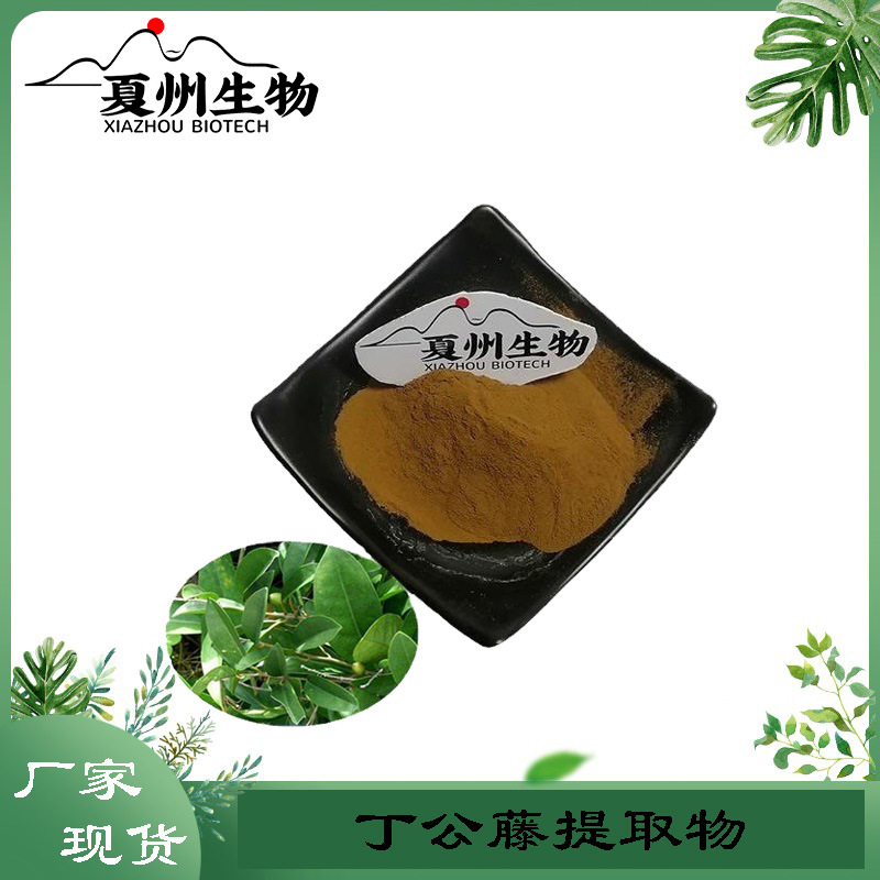 丁公藤提取物10/20/30/50:1   包公藤萃取粉  夏州生物 量大从优