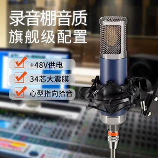 TF-22 48V大振膜主播录音抖音快手直播全民K歌悬挂式电容麦克风