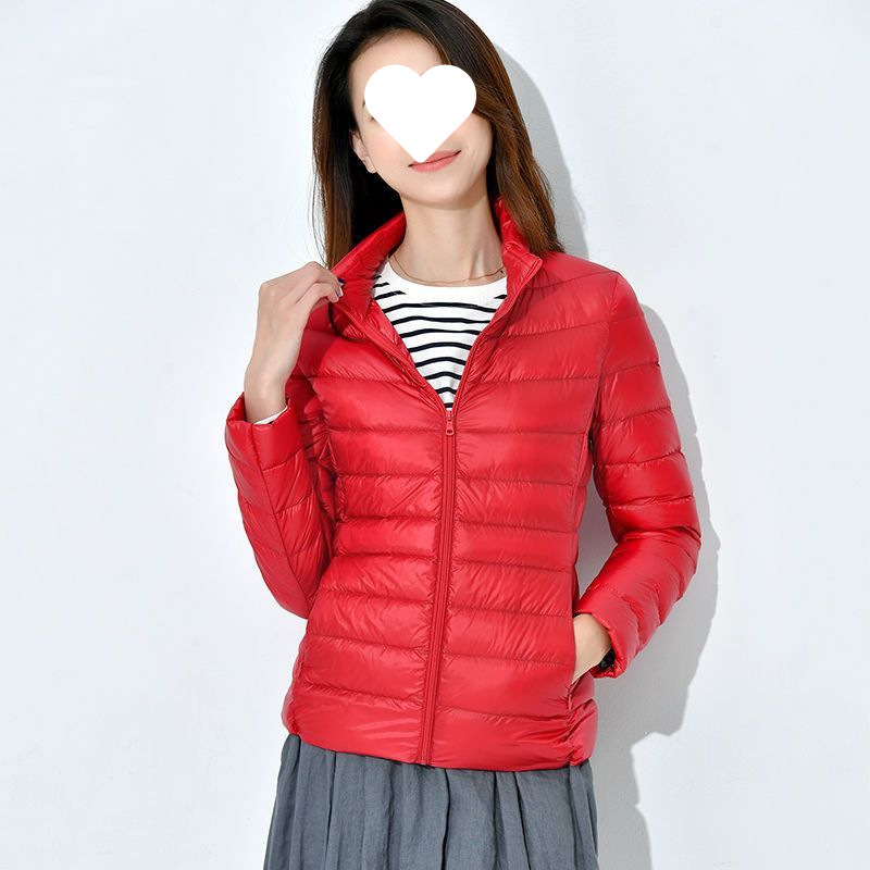 빅 레드(스탠드 칼라)