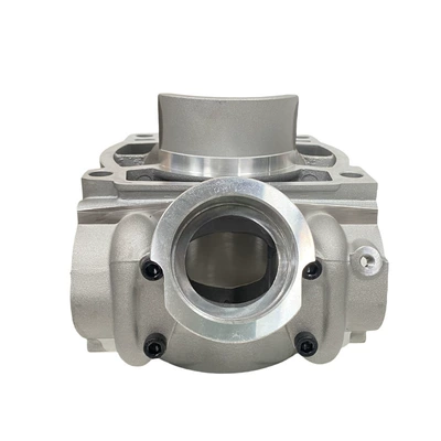 Xcw300 Exc 300 – Cylinder and parts