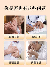 丹参粉材白花丹叁纯单参三七西洋参丹参三宝粉