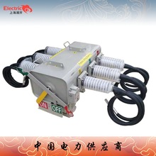 供应FLW34-12/630-20户外柱上交流高压SF6绝缘充气负荷开关 厂家