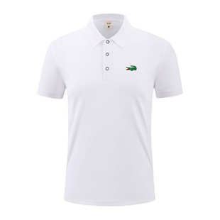�ļ���ʿPOLO�������{�~�������IT�����e���m��ʿ����