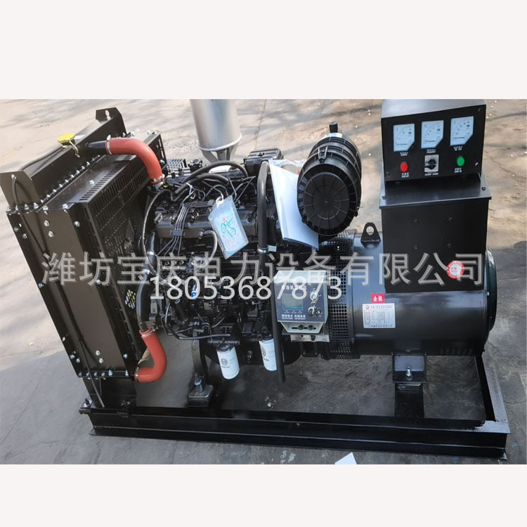 发电机组 50KW发电机组 小型发电机 工地 实验室用 锐动力 柴油