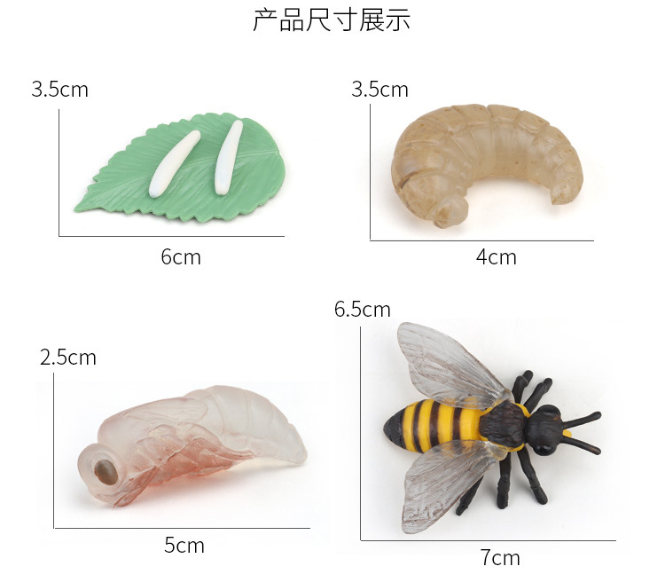 生长周期内页_19