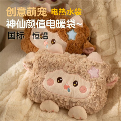 新品爆款充电暖水袋暖宝宝暖手宝毛绒女生敷肚子电热水袋冬季礼品