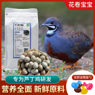 �J���u��Ϯa���ϳ����u�R���u�����u�Z�ߵ��נI�B�Z�µ��g���Bʳ