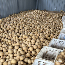 ��Ȼ���J�غ��J�S�����l�ؔ�������湤ˇƷ�[��ԭƤ���Jһ�����l