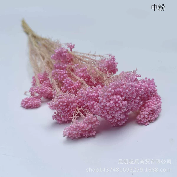 ◦◦◦◦◦◦Medium powder◦◦◦◦◦◦
