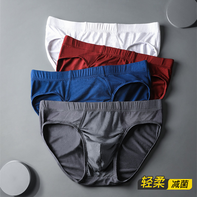 Men's Underwear Men's Briefs Summer Thin Underwear Sexy plus size Men's Low Waist Breathable Shorts