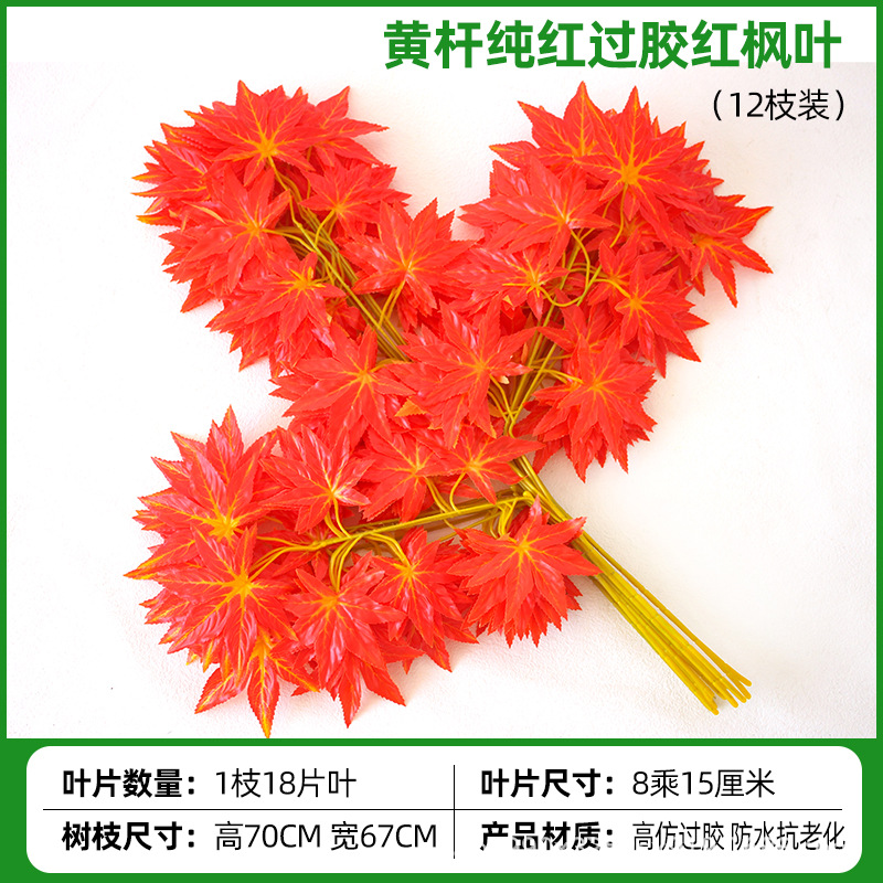 접착된 노란색 줄기 순홍 단풍잎(12가지)