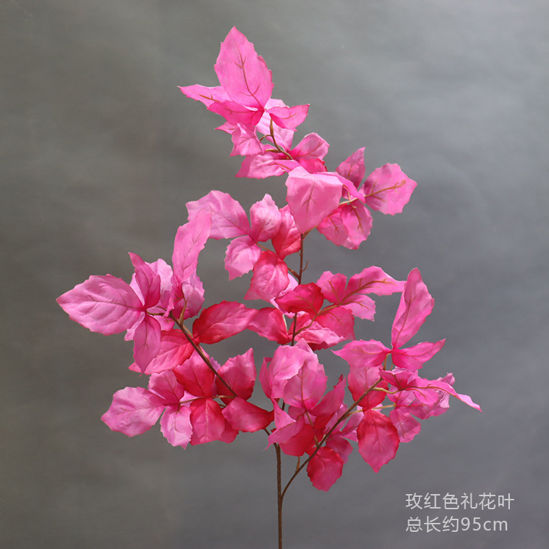 Rosa roja hoja de fuegos artificiales