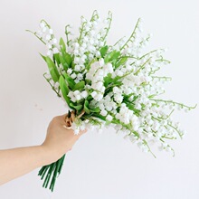 白風鈴花 白風鈴花批發 促銷價格 產地貨源 阿里巴巴