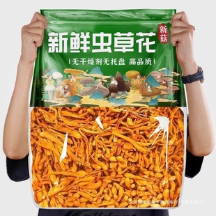 ���o��������r�x�ݻ��r�Ҹ�؛���x�ݾ���¹���Ҝ����l���Ã���