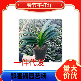 һ�����l�����m���Ԏ����������ļ��_�����B����ֲ���҃ȾGֲ�A�^