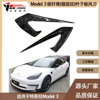 Spoiler CMST carbon fiber fender