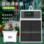 定时太阳能新款灌溉浇水器