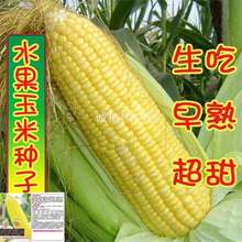 ˮ׷NӴ߮aŴļԴNֲN