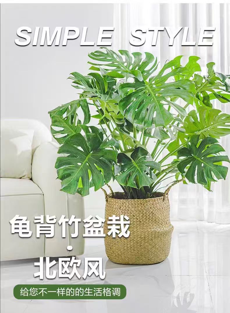 详情图