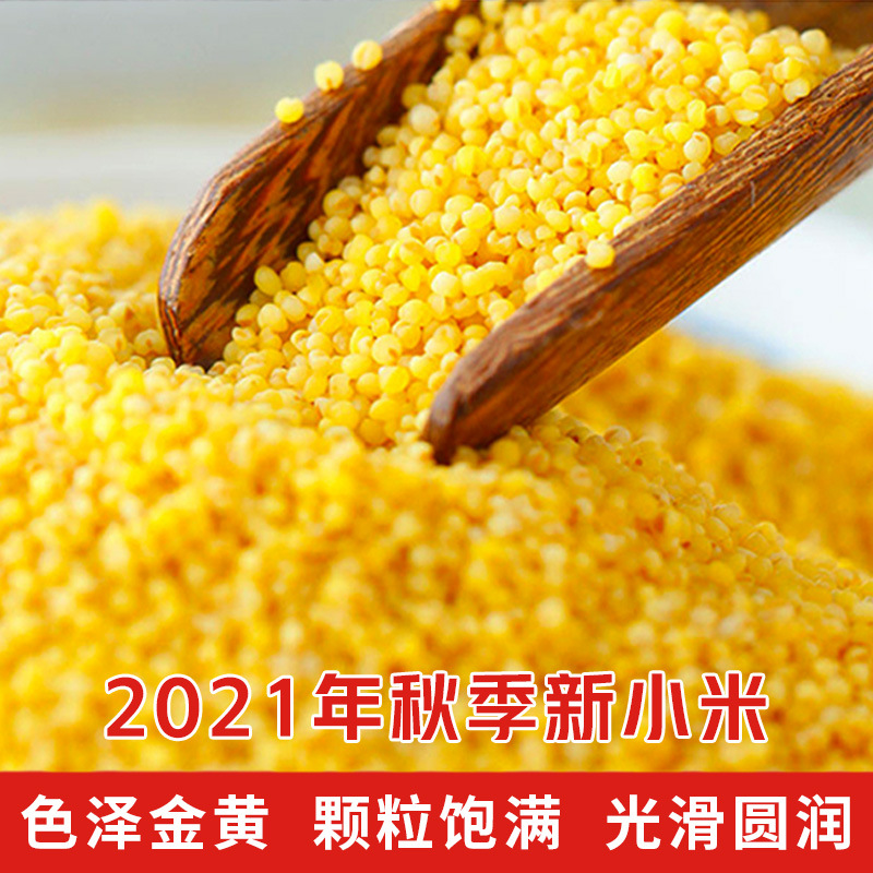 С����ͨС����շ�ש�������۶��ƿ�ɽ�����������ʳһ��С��