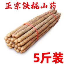 温县垆土铁棍山药正宗河南焦作新鲜生铁杆怀山淮山药特产淮山药