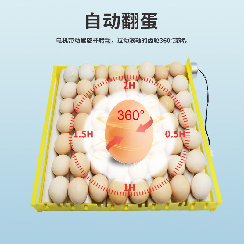 Suministro directo de fábrica pequeña incubadora doméstica Placa de huevo 56 piezas Placa de huevo de rodillo multifunción 360 grados de giro de huevos con motor