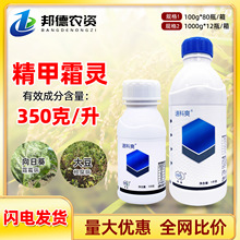 �̱��ٿ�ˬ����˪�`���޻�ˮ������⧵����������N��̎���N��