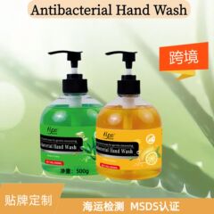 跨境专供芦荟抑菌洗手液家用温和保湿滋润消毒洗手液厂家外贸批发